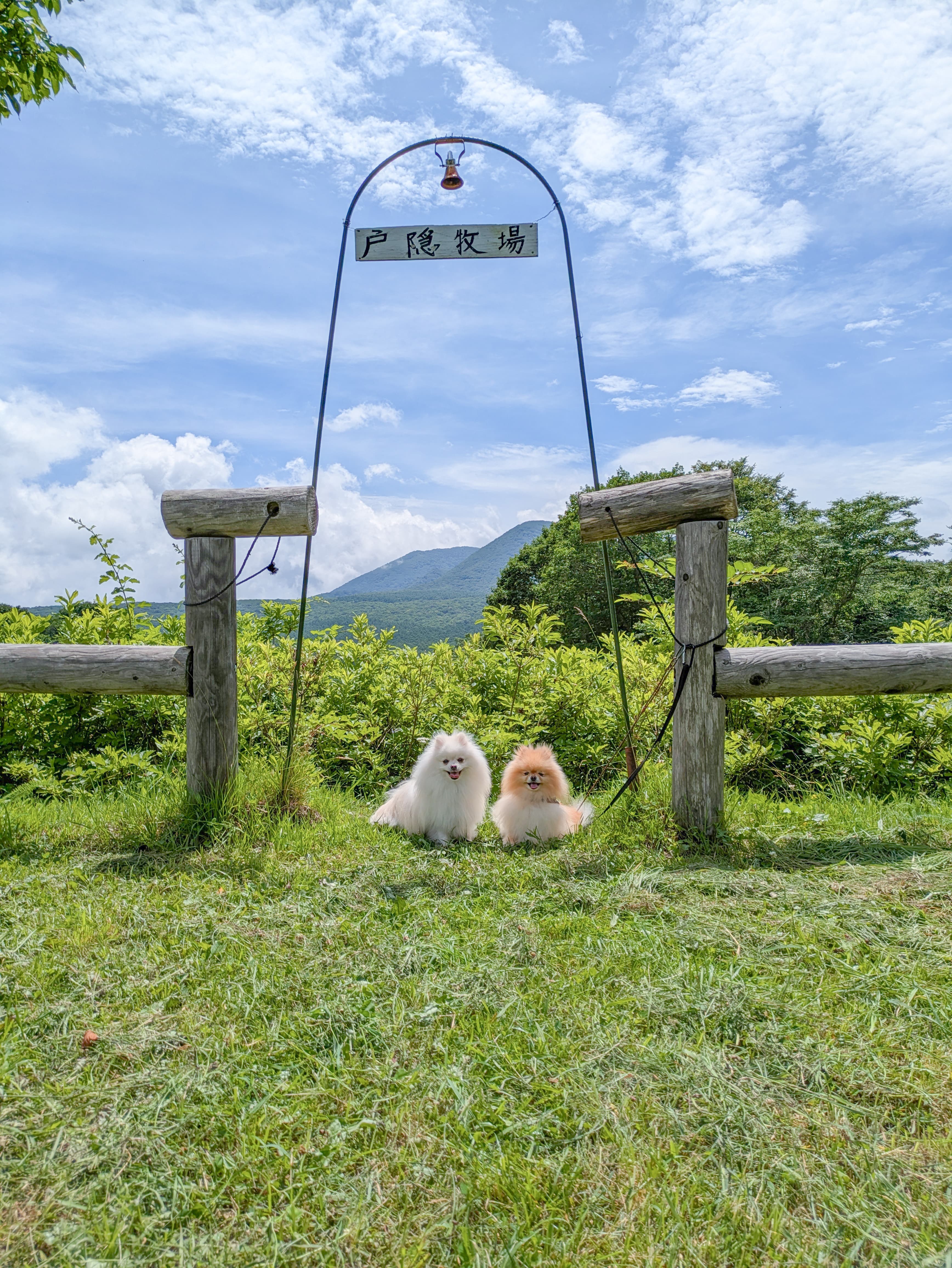 ぽぽちとぱぴち