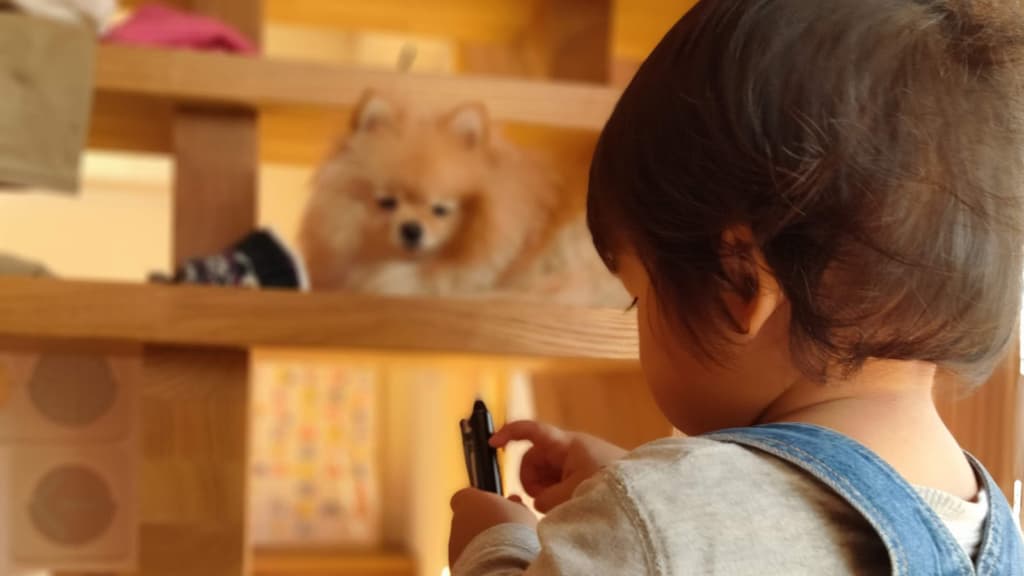 子供が犬アレルギー？！アレルギー症状が出た時の対応。犬を飼い続けても大丈夫？どうしても飼えない時は…