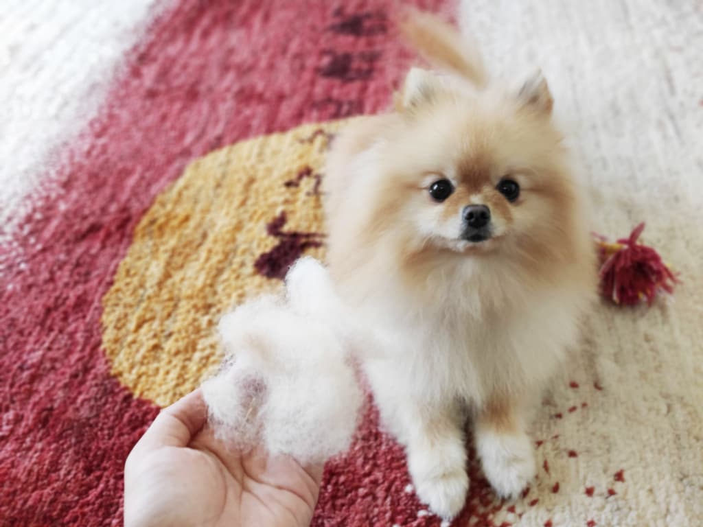 【セカンドオピニオン】甲状腺機能低下症かと思っていたら全く違う病名を言われた