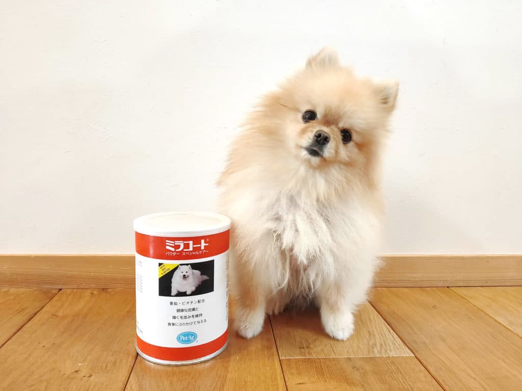 ポメハゲに効果てきめん？飲んだ翌日に変化を実感！サプリメント「ミラコート」の実力をご紹介