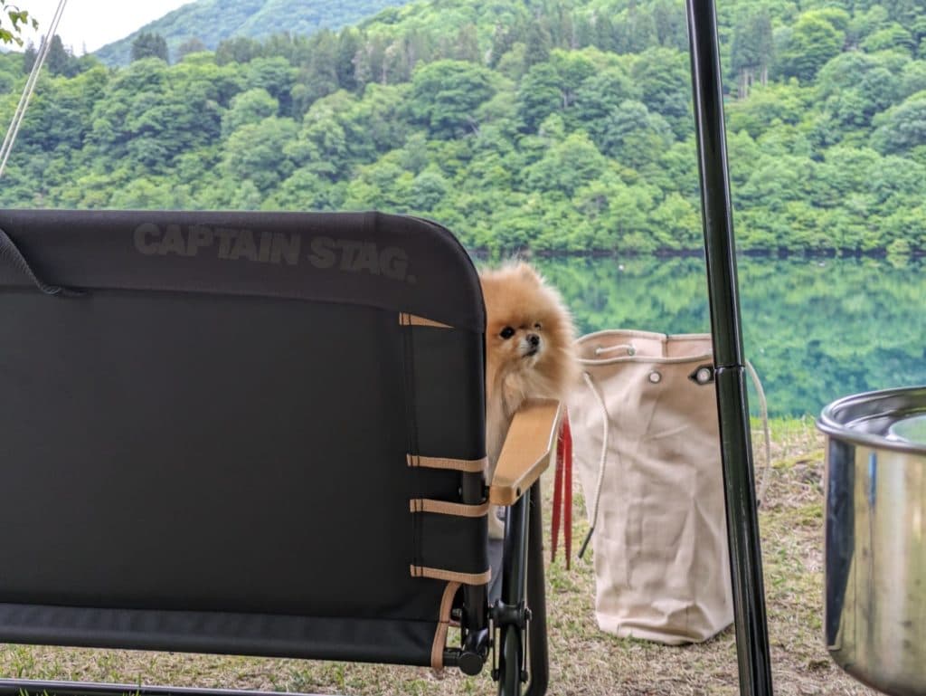 湖畔キャンプでカヌー体験！桂湖キャンプ場で愛犬と過ごす特別な時間