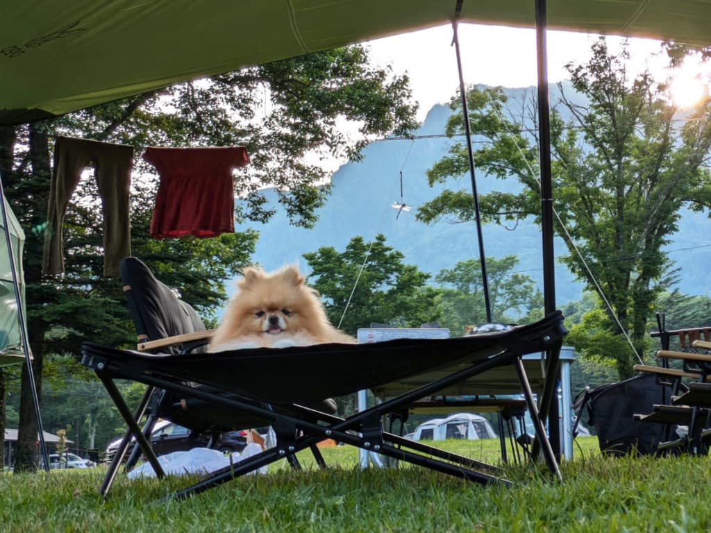 【戸隠キャンプ場レポ】夏でも涼しい!犬&子ども連れで快適に過ごせる高原キャンプ場