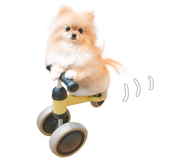 ぽぽち