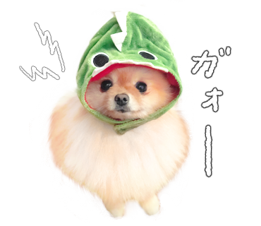 ぽぽち