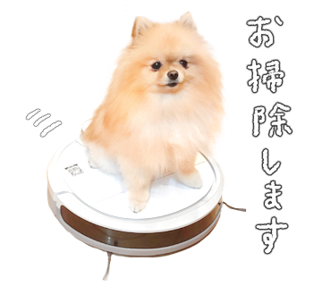 ぽぽち