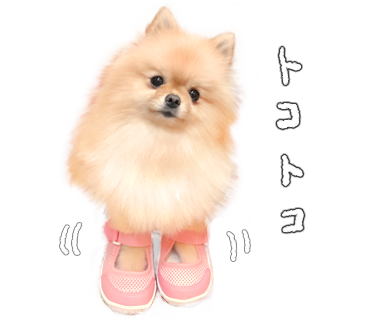 ぽぽち
