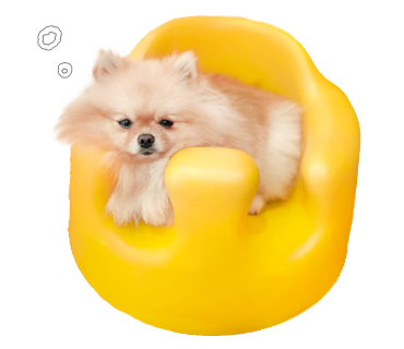 ぽぽち