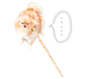 ぽぽち