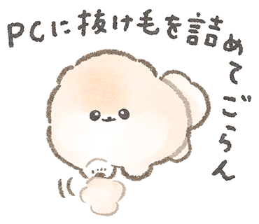 やる気のないポメラニアン・ぽぽち2