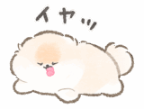 やる気のないポメラニアン・ぽぽち2