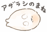 やる気のないポメラニアン・ぽぽち2