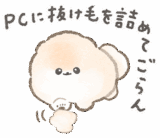 やる気のないポメラニアン・ぽぽち2