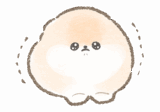 体調不良で休みたいポメラニアンのぽぽち
