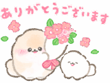 １年中使える！ぽぽちとぱぴち