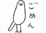 やる気がない文鳥さん