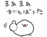 やる気がない文鳥さん