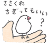 やる気がない文鳥さん