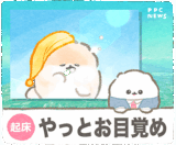 ぽぽちニュース