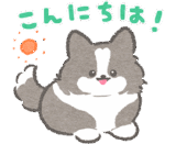 礼儀正しいボーダーコリー