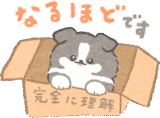 礼儀正しいボーダーコリー