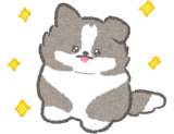 礼儀正しいボーダーコリー