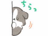 礼儀正しいボーダーコリー