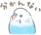 セキセイインコの家族スタンプ