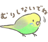 セキセイインコの家族スタンプ