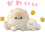 ぱぴちのイヤイヤ期