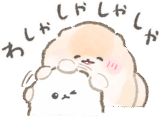 ぱぴちのイヤイヤ期